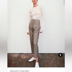 NWT Zara pants with high waist rare color